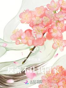 真皮系统