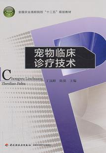 女孩小班
