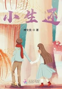 梦之圣皇
