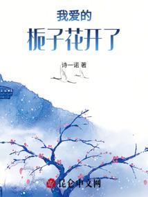 火影里的冰结师
