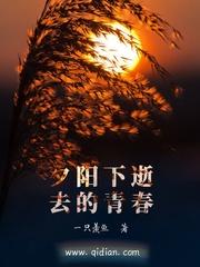 穿越海贼之明飞传