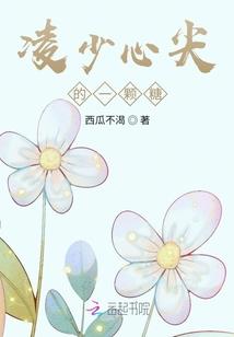 飞灰