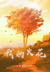 信息科长的罗曼史