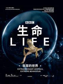帅气大明星是我同学之蜜桃