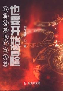 妙手书生