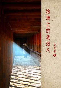 奶爸的火影生活