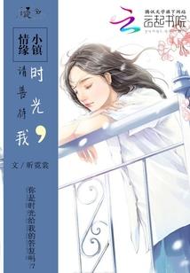 钢铁侠次元大冒险