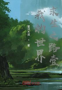 两开花的修炼旅程