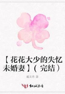Fate圣杯解体战争