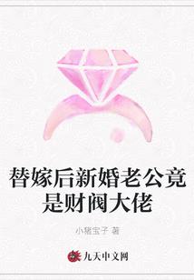 望夫石下，总裁的大龄妻