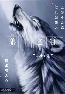 热血市民王师傅的灌水文
