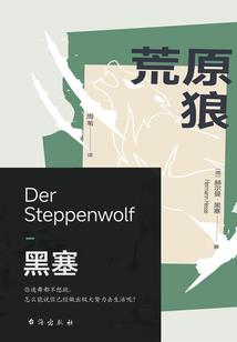 似水流年终成梦