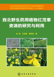 我在清朝寻点宝
