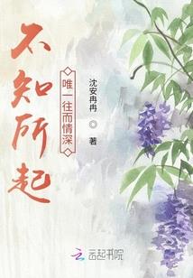 穿越后皇帝成了我的绊脚石