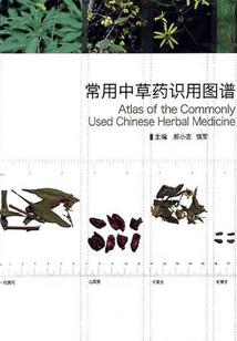 只是时光凑巧