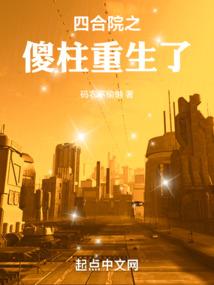 双面：白昼与黑夜