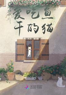 黎明之时白昼未至