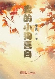 幻想之吸血鬼阿河