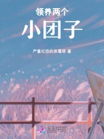 史迪大陆