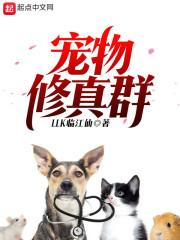 最后一句歌词
