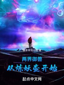 盗尽神话