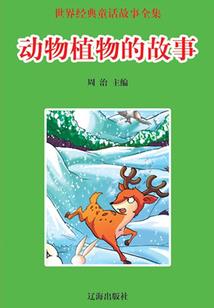 带我回家