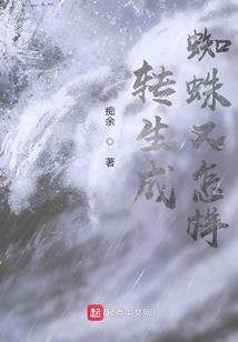 命运之巅峰