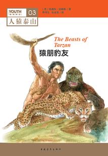 流年易碎慕容紫英相关