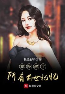 刀剑神域英雄传