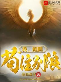 幻想乡的废柴救世主