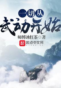 腹黑皇帝穿越妃