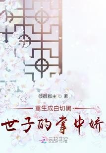 不著名的网络作家