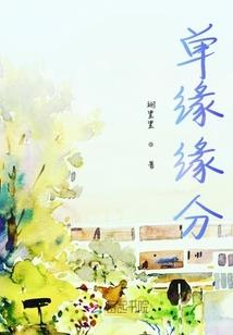从木叶实验体到数码暴君