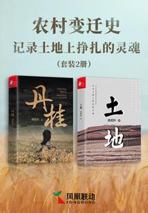 朋克之心