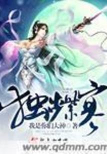 华尔街操盘手