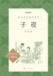 诺瓦大陆的异乡者