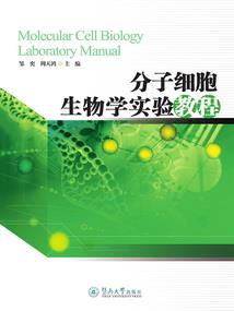 明道宗