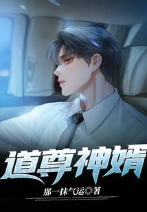 林栖陆的百变系统