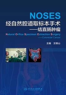 雾色玫瑰