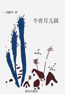 智慧回忆录