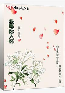 妲己惑国篇