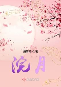 武当剑侠传