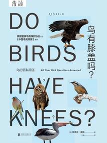 快穿之无尽的爱