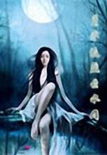 玄幻：被迫入赘，我成为全系魔法师