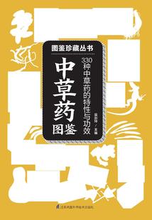 阿岐达卡的陨灭