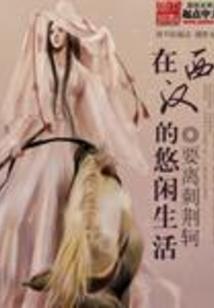九霄摘星录