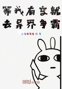 总裁老婆的贴身护卫