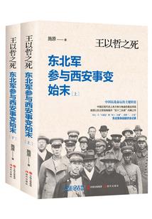 无法再次触摸的那朵火花