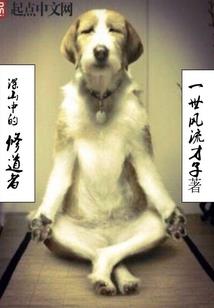 穿越三国之皇帝子龙