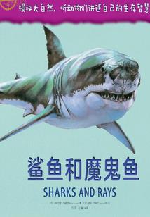 斗罗大陆之天琊圣主